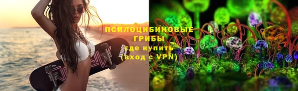 ГАЛЛЮЦИНОГЕННЫЕ ГРИБЫ Мегион