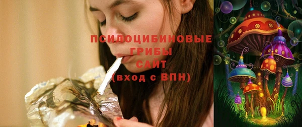 стаф Медвежьегорск