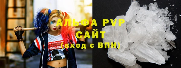 молекула духа Медногорск